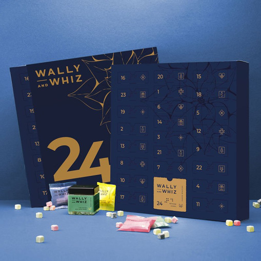 Julkalender Wally & Whiz