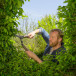 NatureCut Hekksaks