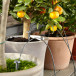 City Gardening Ferievanning