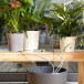 City Gardening Ferievanning