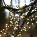 Lysstreng Berry Mini 700 LED