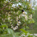 LED Lysstreng Partaj 450 cm