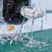 Champagneglass Opacity Clear