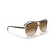 Solbriller Bill Havana 