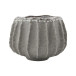 Krukke Shell
