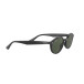 Solbriller 0RB4315 Black, Dark Green