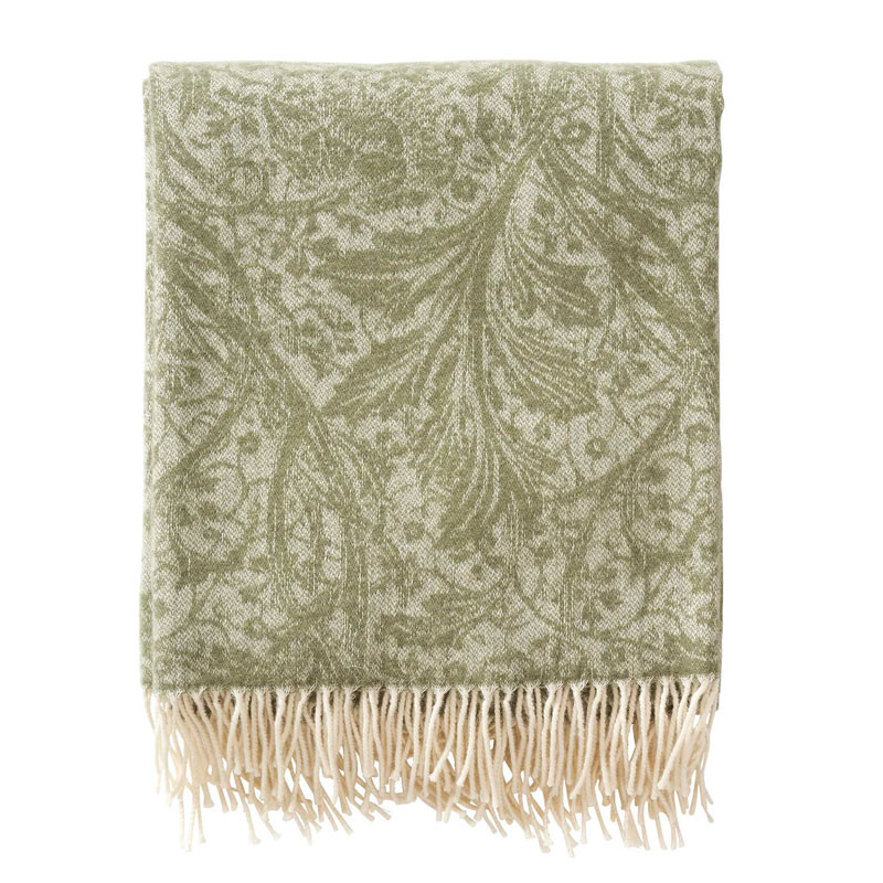 Arcadia Kashmir & Merinoull Olive