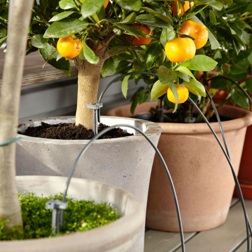 City Gardening Ferievanning