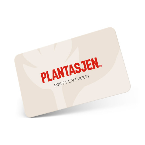 Plantasjen