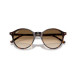 Solbriller Bernard Havana