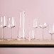 Essence champagneglas 4 pak