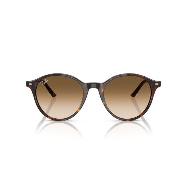 Solbriller Bernard Havana