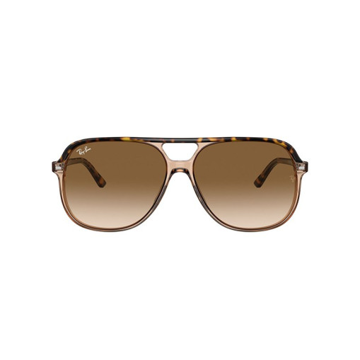 Solbriller Bill Havana 