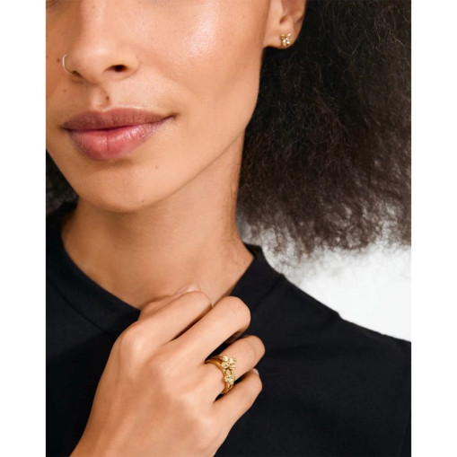 Gavesæt Sanine, ringe & øreringe guld