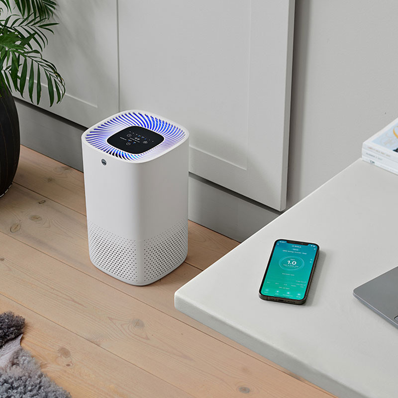Fresh air clearance air purifier