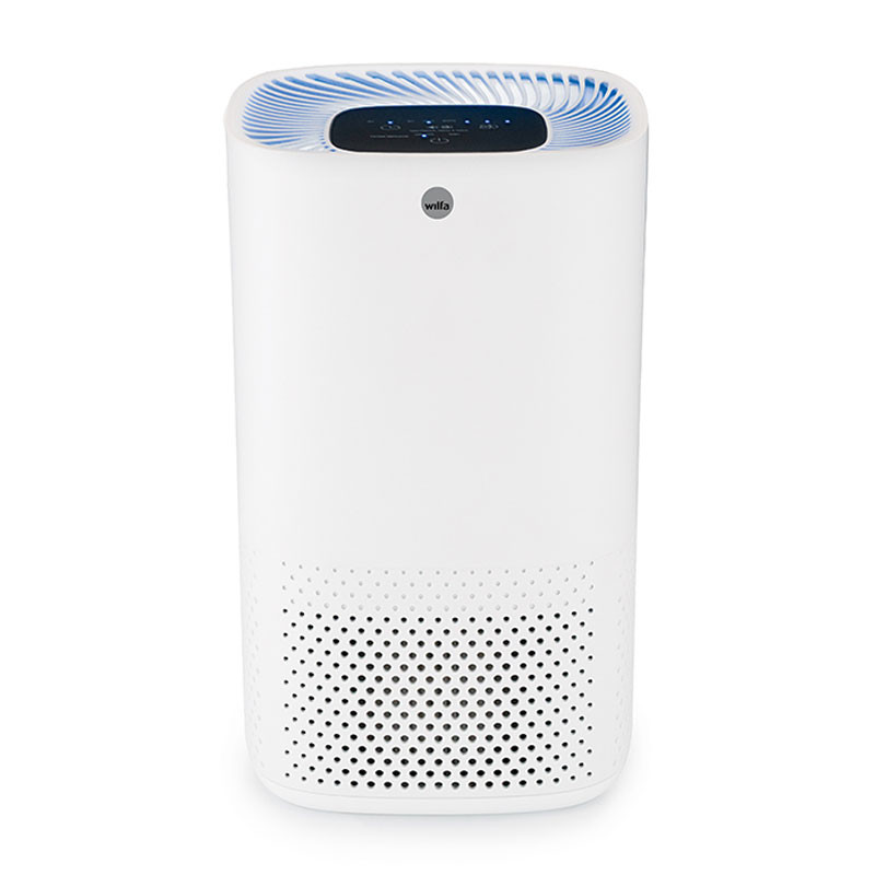 Air fresh purifier sale