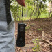 Shark Flashlight
