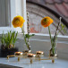 Constella candleholder 5 candles brass