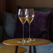 Champagne Glass Veloce 2-pack