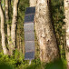 Sunbird P54 Foldable Solar Panel USB / USB-A IP67