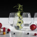 Fryd Water Glass 4-Pack