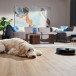 Robot vacuum cleaner with mop