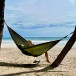 Hammock Green