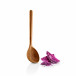 Serving Spoon