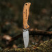 Folding Knife