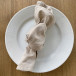Nature Napkin 50x50 cm