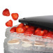 Mushroom Dehydrator with 6 Levels and Thermostat