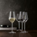 Style Champagne Glass 31 cl 4-pack