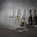 Authentis Champagne Glass 27 cl 4-pack