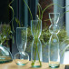 Vases Canopy