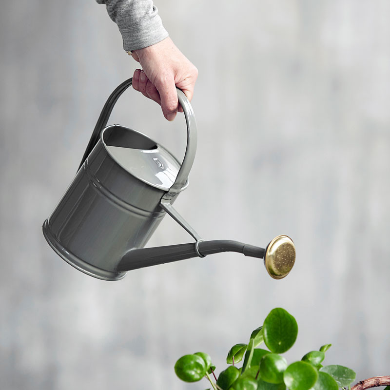 Water Watering Can Grey