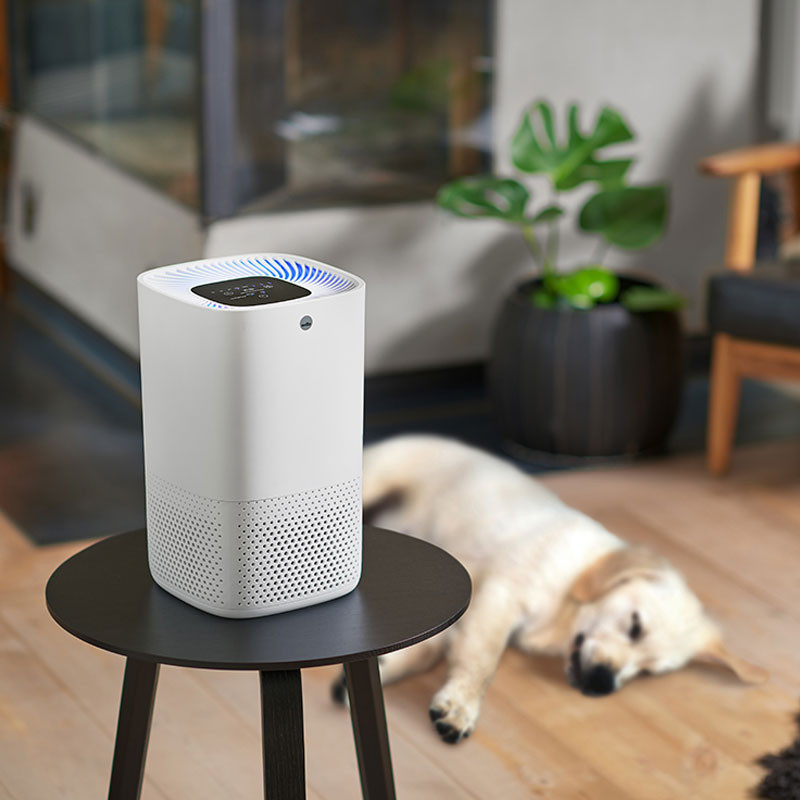 Fresh air clearance air purifier