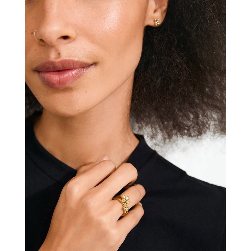 Sanine gift set, rings & gold earrings