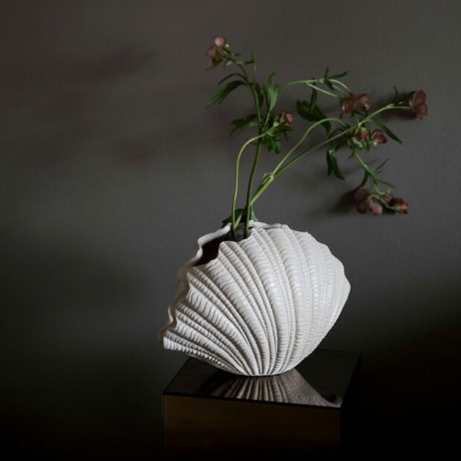 Vase Shell