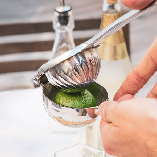Citrus Juicer
