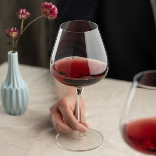 Wine glasses 2 pack