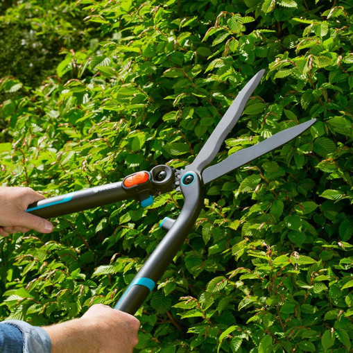 Hedge Shear 2in1 EnergyCut