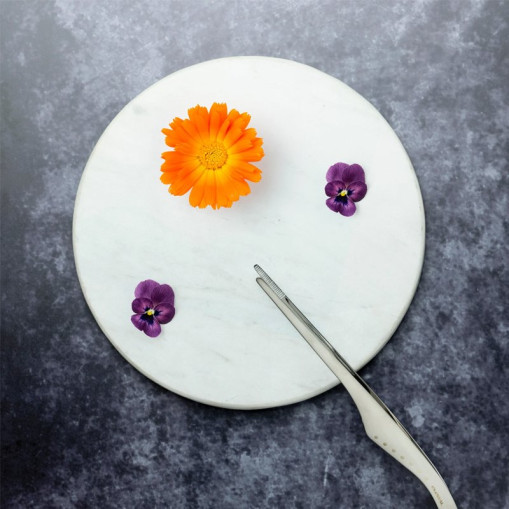 Chef’s Tweezer t20 cm